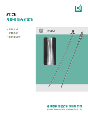 尺桡骨髓内钉
